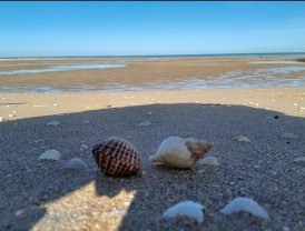 Location : autre Location : autre