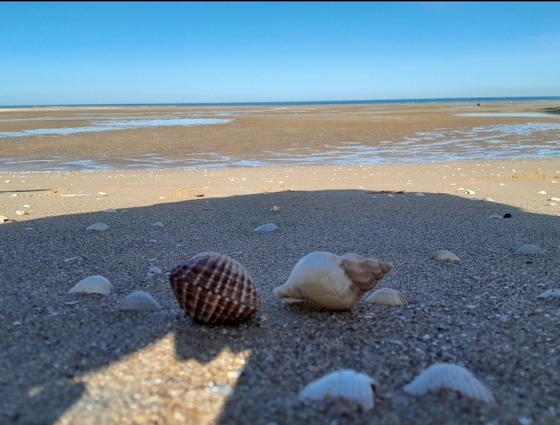 Location autre 14 entre particuliers