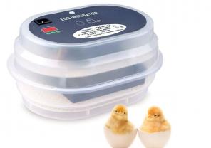 Location : autre Location : autre