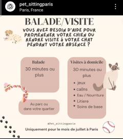 Demander ce catsitter