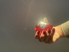 Service : prothesiste ongulaire Service : prothesiste ongulaire