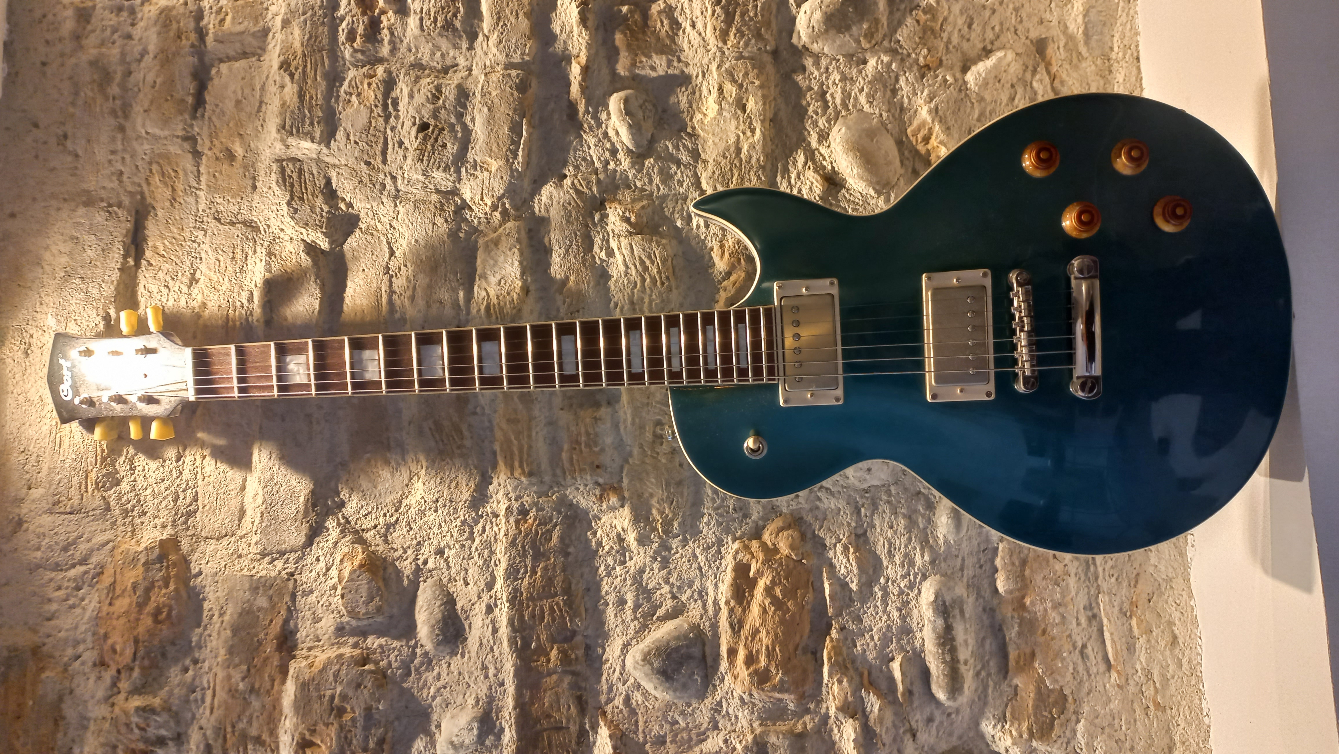 Location guitare 38 entre particuliers