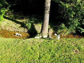 Demander une garde