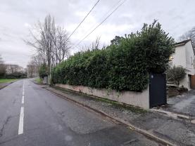 Service : taille de haies Service : taille de haies