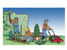 Service : entretien espace vert Service : entretien espace vert