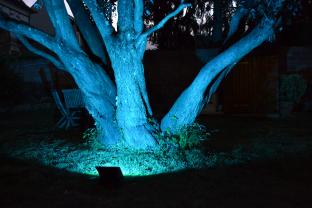 Location : jeux de lumieres Location : jeux de lumieres