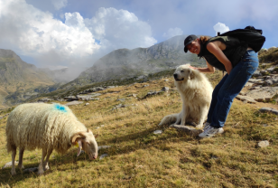 Service promeneur chien entre particuliers