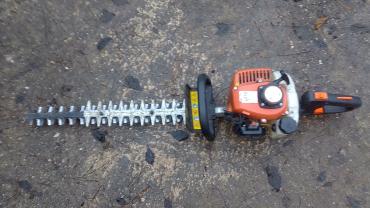 Location : taille haie Location : taille haie