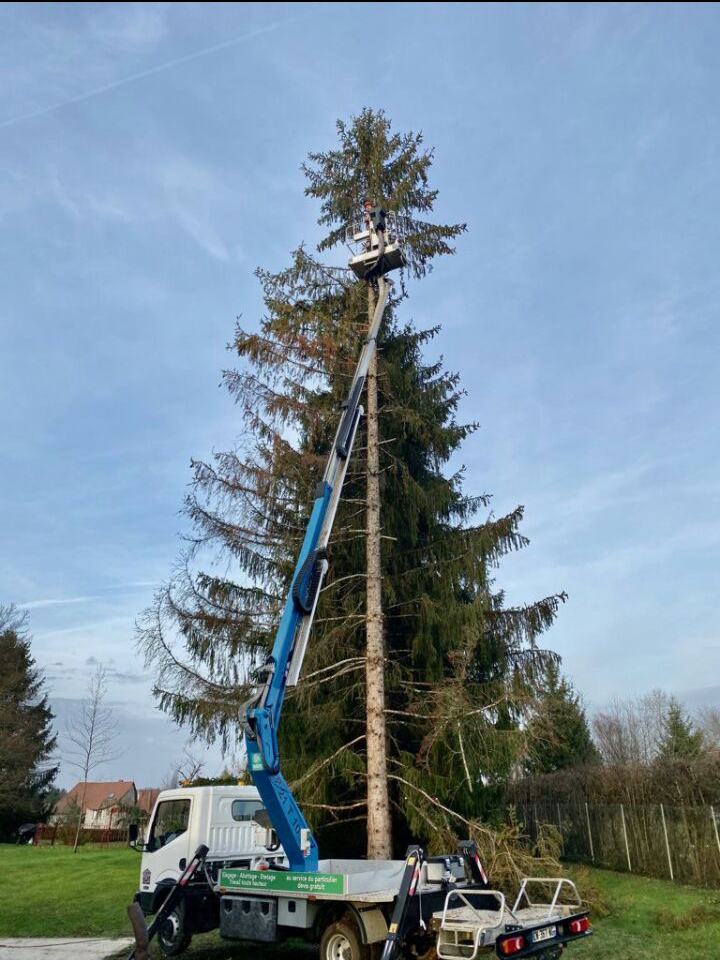 Service elagage 47 entre particuliers
