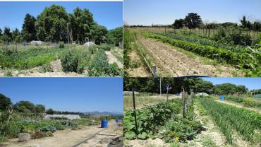 Demander ce jardinier