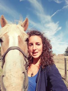 Service : garde animaux Service : garde animaux