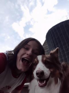 Service : garde animaux Service : garde animaux