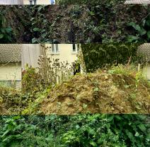 Occasion appareil entre particuliers