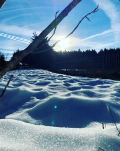 Service : photographie Service : photographie