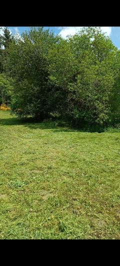 Service : paysagiste Service : paysagiste