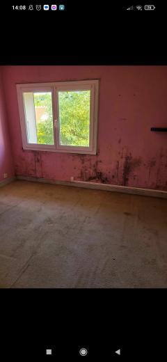 Location decolleuse de papier peint entre particuliers