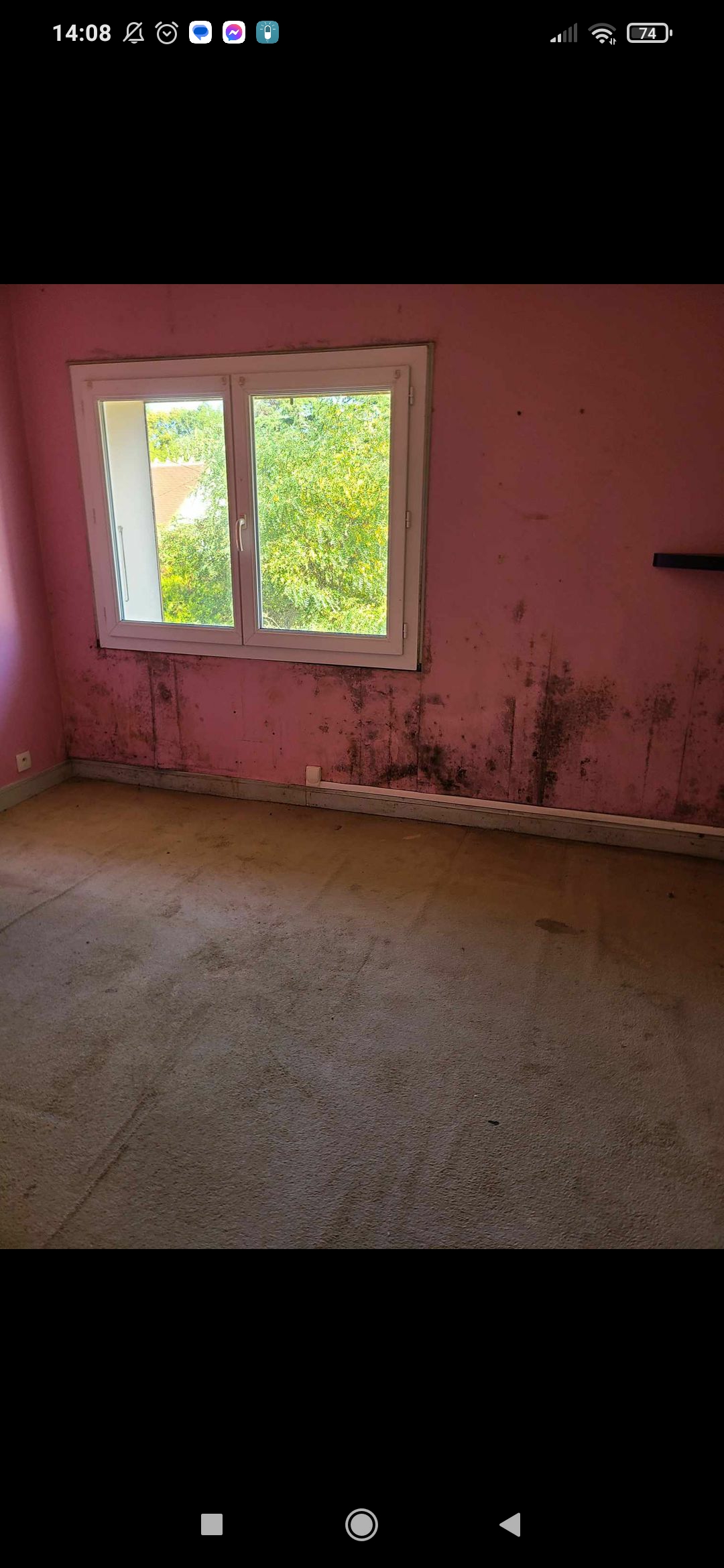 Location decolleuse de papier peint 03 entre particuliers