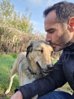 Service : garde animaux Service : garde animaux