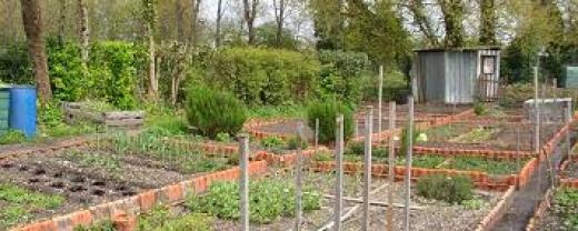 Location jardin potager entre particuliers