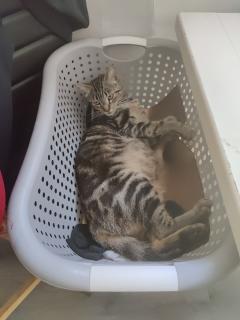 Service : chat Service : chat