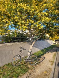 Louer le vélo