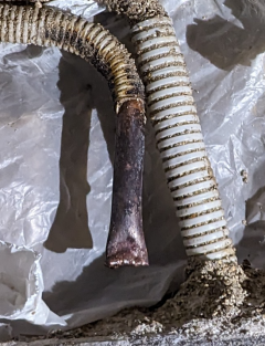 Service : plomberie Service : plomberie