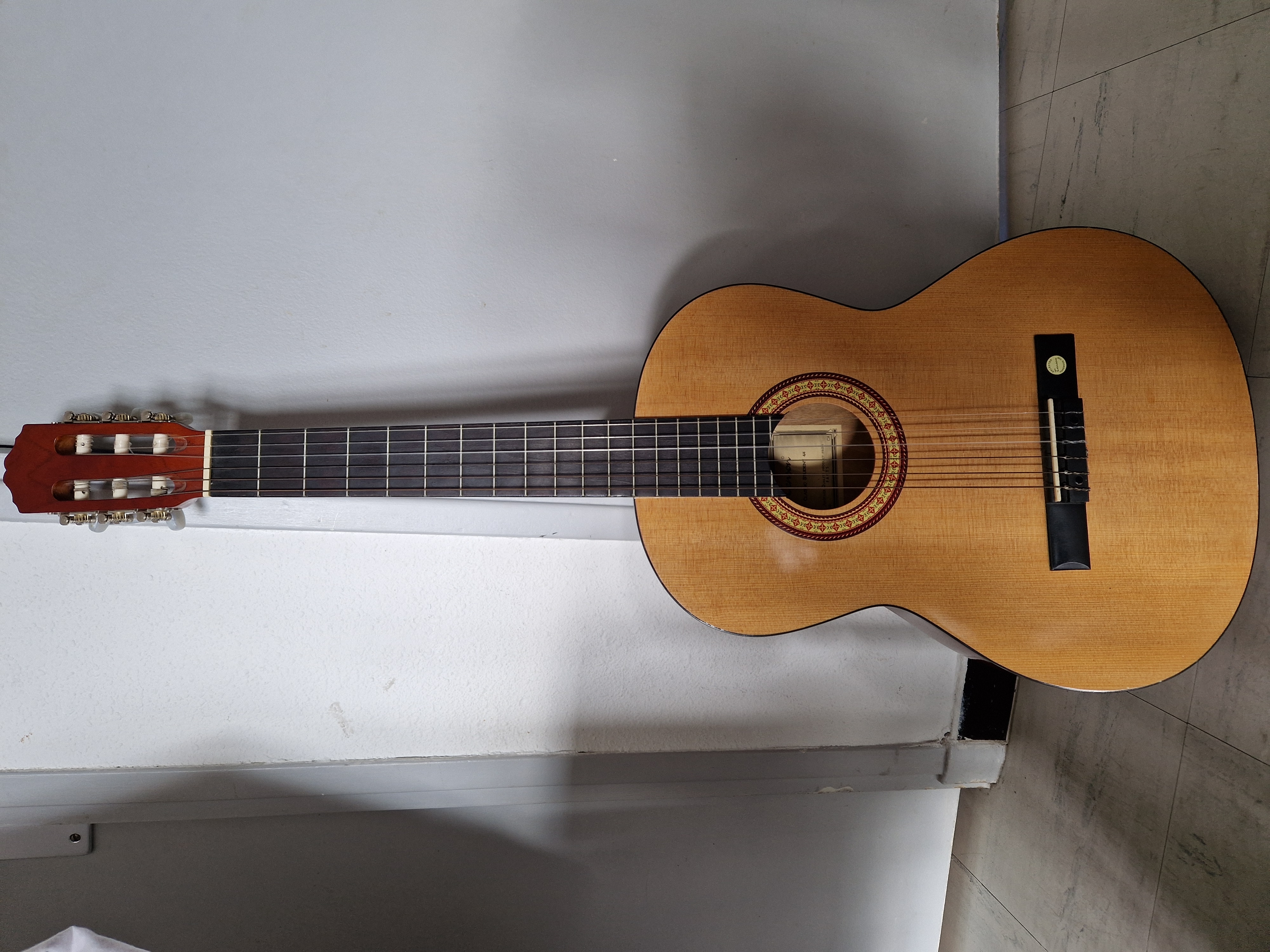 Location guitare 13 entre particuliers