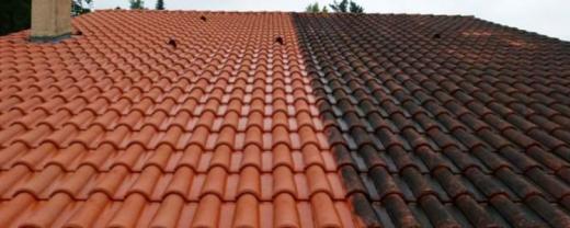 Service : nettoyage toiture Service : nettoyage toiture