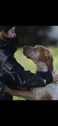 Service garde animaux entre particuliers