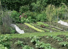 Location jardin potager entre particuliers