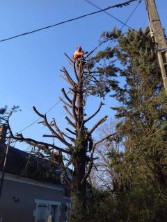 Service : entretien espace vert Service : entretien espace vert