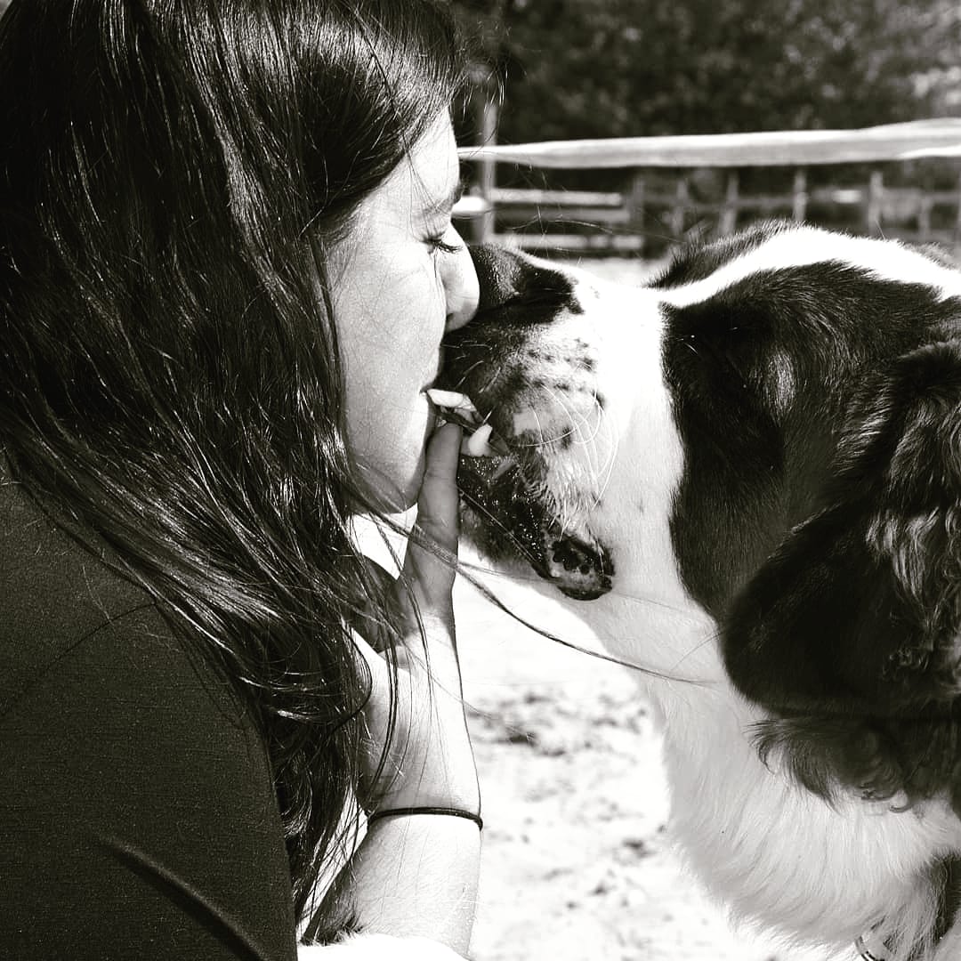 Service garde animaux 33 entre particuliers