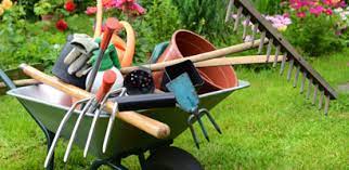 Service entretien jardin 02 entre particuliers