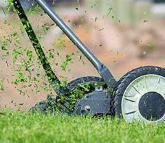 Service tonte de pelouse 61 entre particuliers