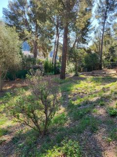 Location : jardin Location : jardin