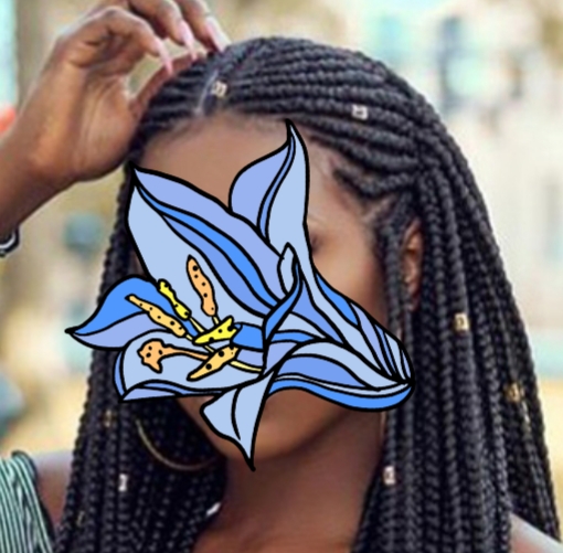 Service tresses africaines 31 entre particuliers