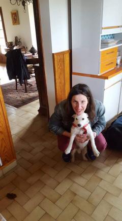Demander ce petsitter