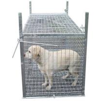 Location cage transport animaux entre particuliers