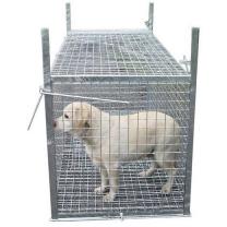 Louer ma cage