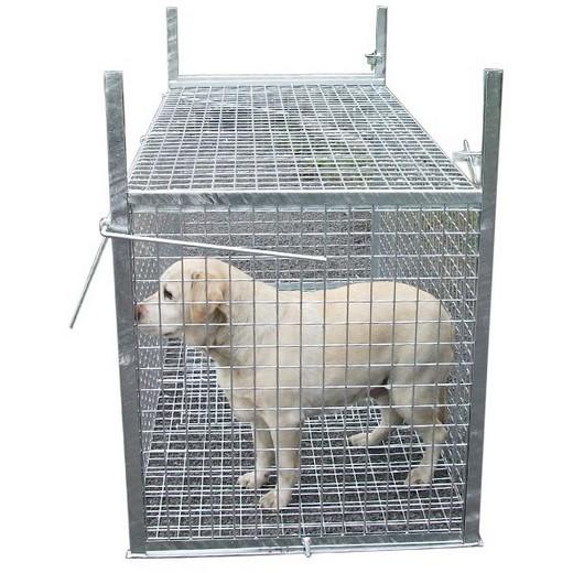 Location cage transport animaux 40 entre particuliers