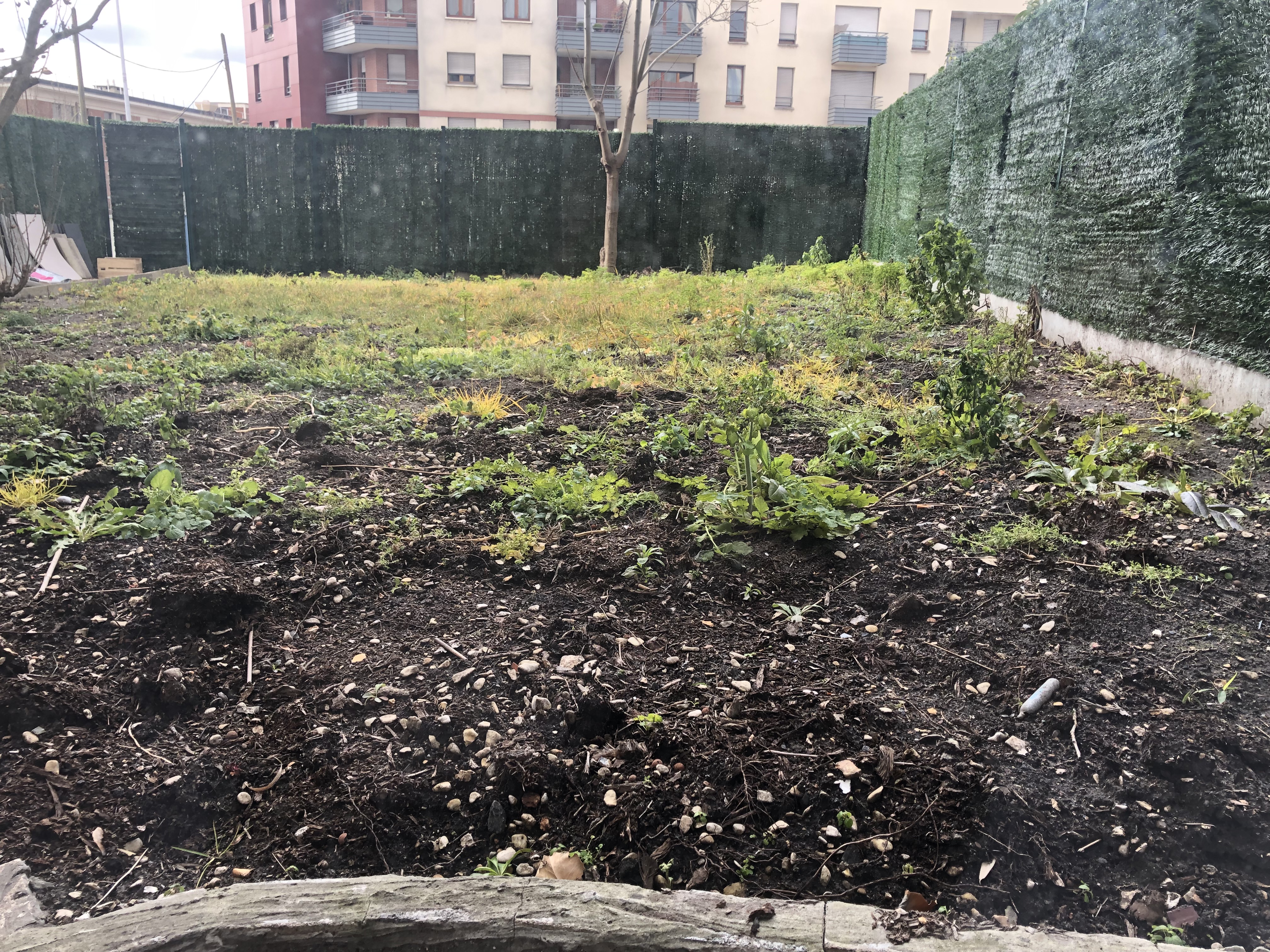 Service entretien jardin 93 entre particuliers