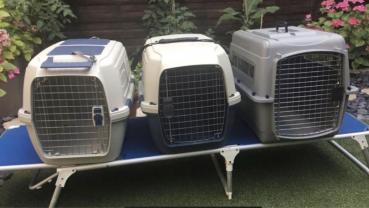 Location cage transport animaux entre particuliers