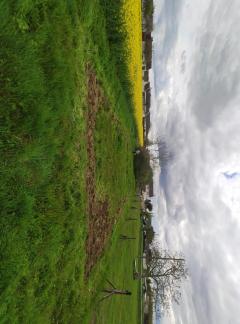 Service : jardinage Service : jardinage