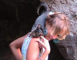 Service : chat Service : chat