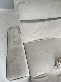 Location : shampouineuse Location : shampouineuse