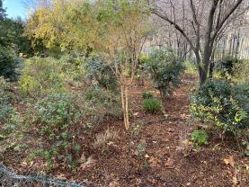 Service : jardinage Service : jardinage