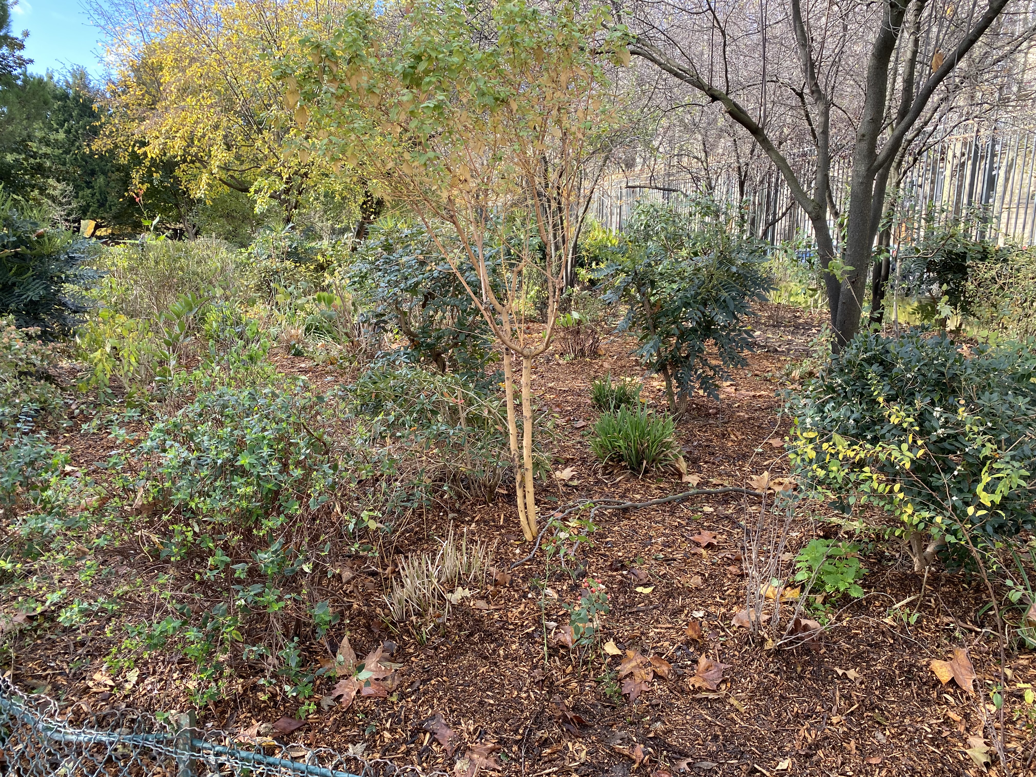 Service jardinage 75 entre particuliers