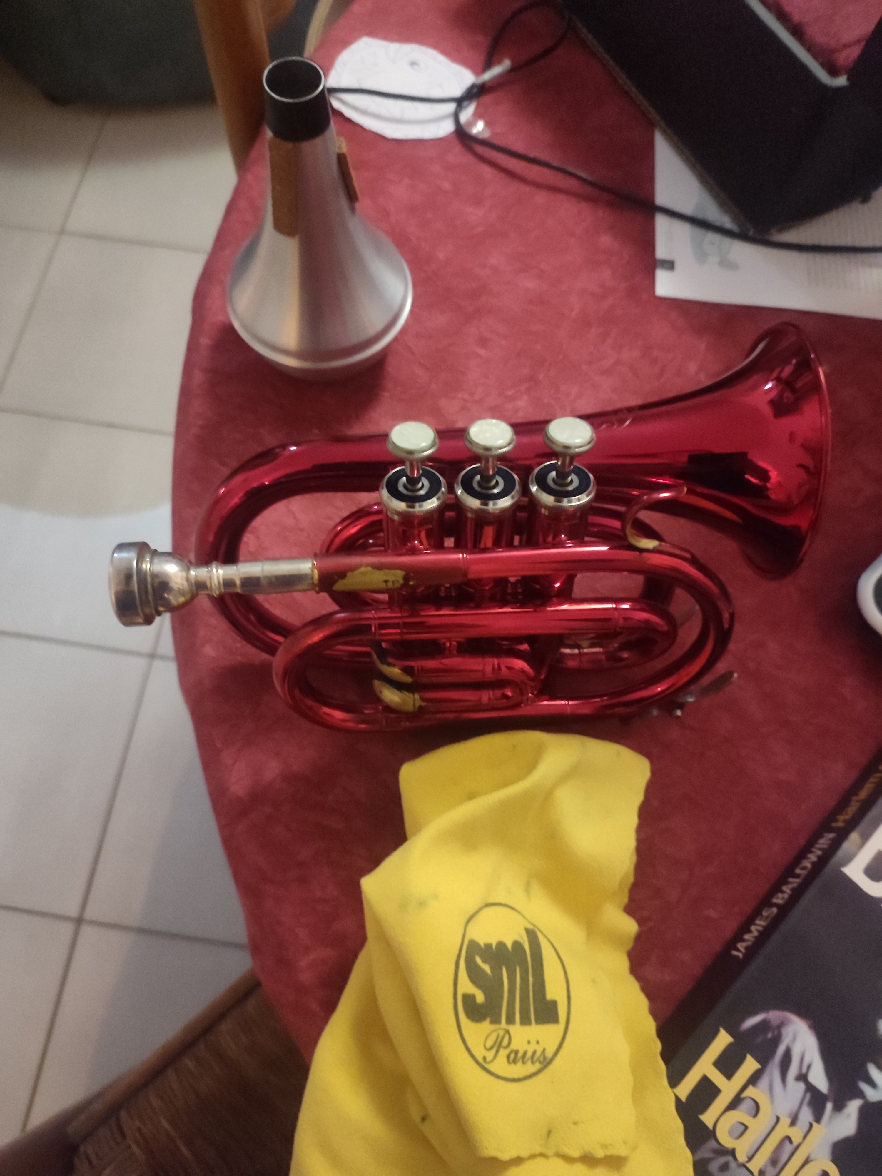 Location instrument musique 35 entre particuliers