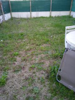 Service : tonte de pelouse Service : tonte de pelouse