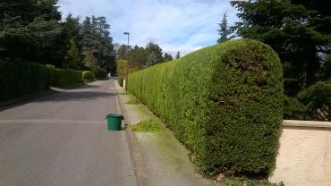 Service : entretien espace vert Service : entretien espace vert